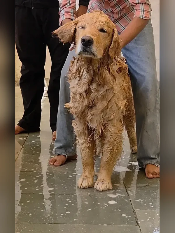 Oliver during gentle bath at home